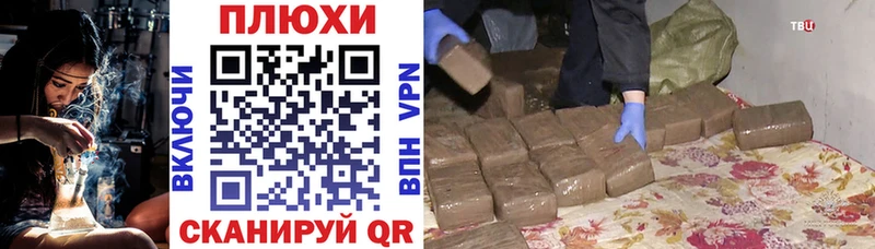 блэк спрут зеркало  Котово  Гашиш Изолятор 