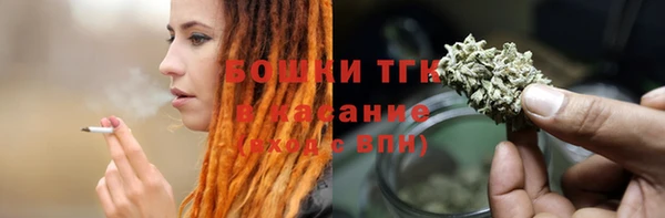 винт Рославль