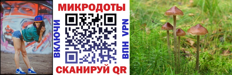 Псилоцибиновые грибы прущие грибы Котово